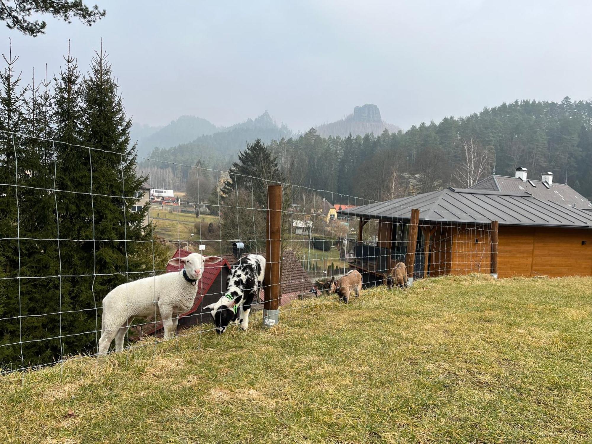 Natur Resort Jetrichovice ภายนอก รูปภาพ
